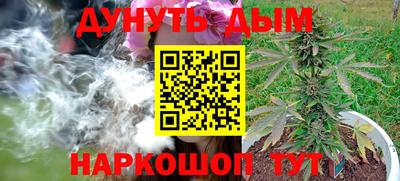 прущие крисы Малгобек