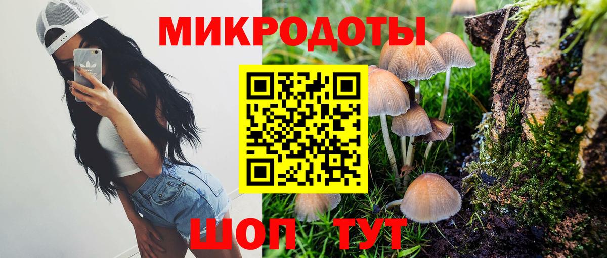 Псилоцибиновые грибы Psilocybine cubensis Ярославль
